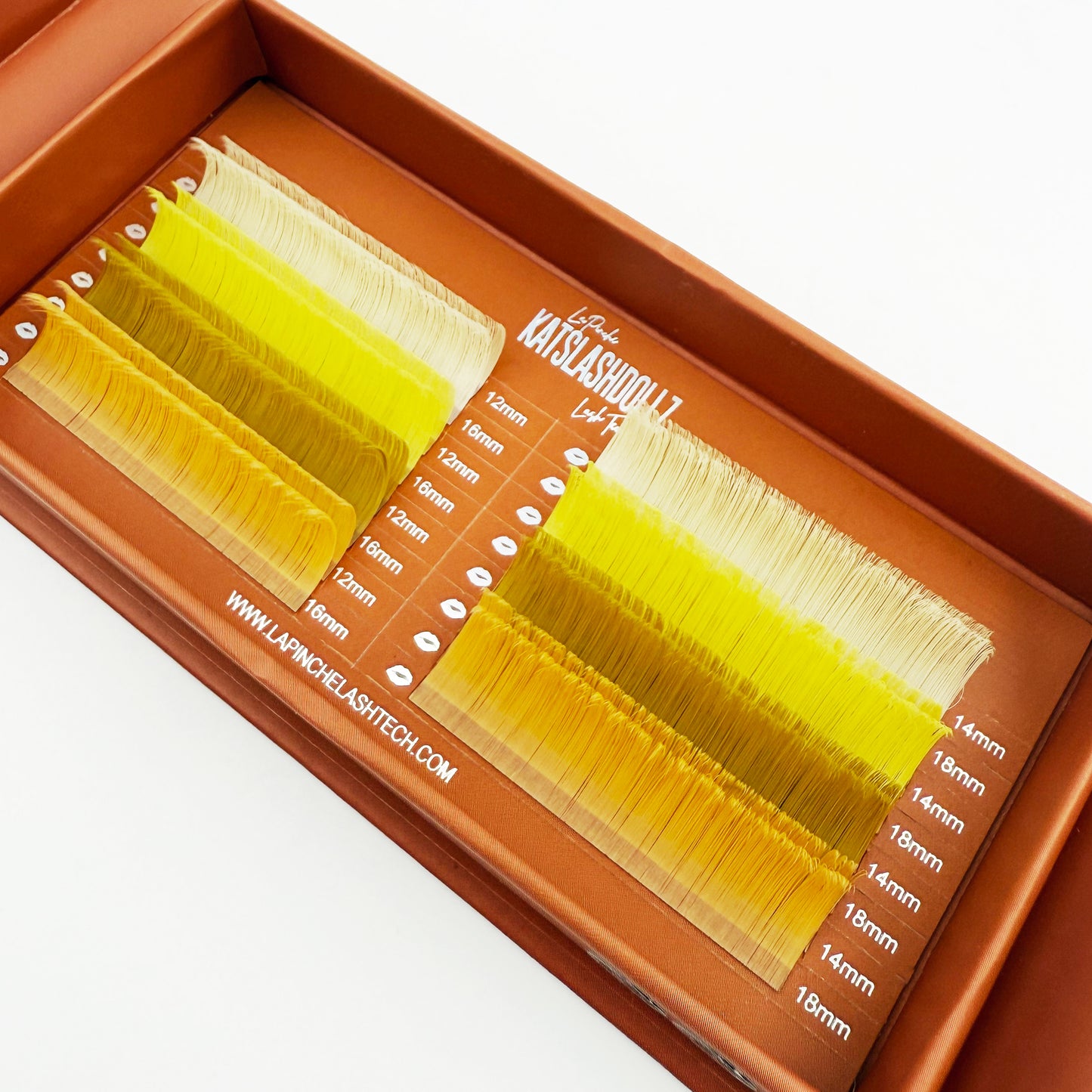 Hermes DESIGNER COLLECTION