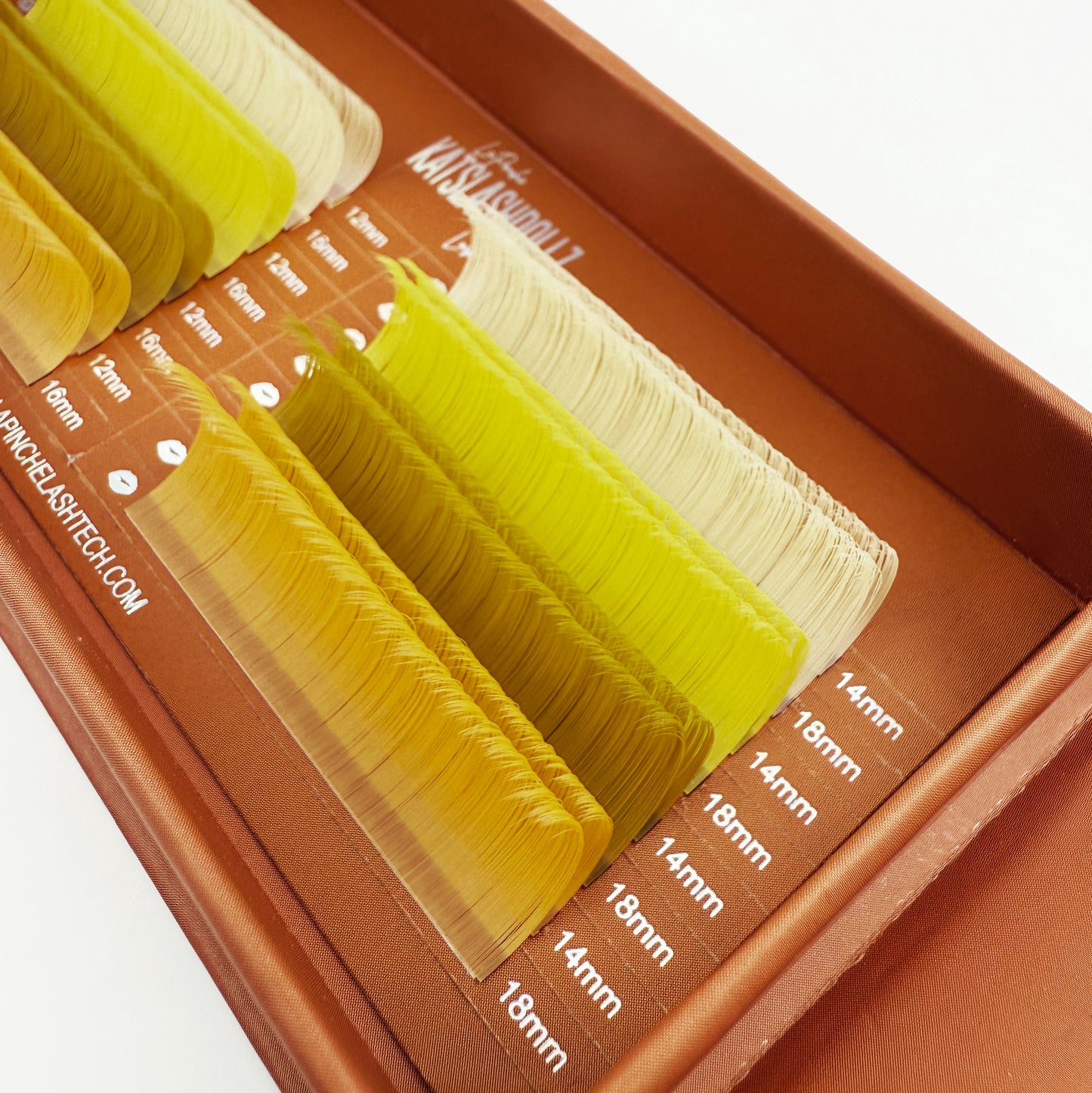 Hermes DESIGNER COLLECTION