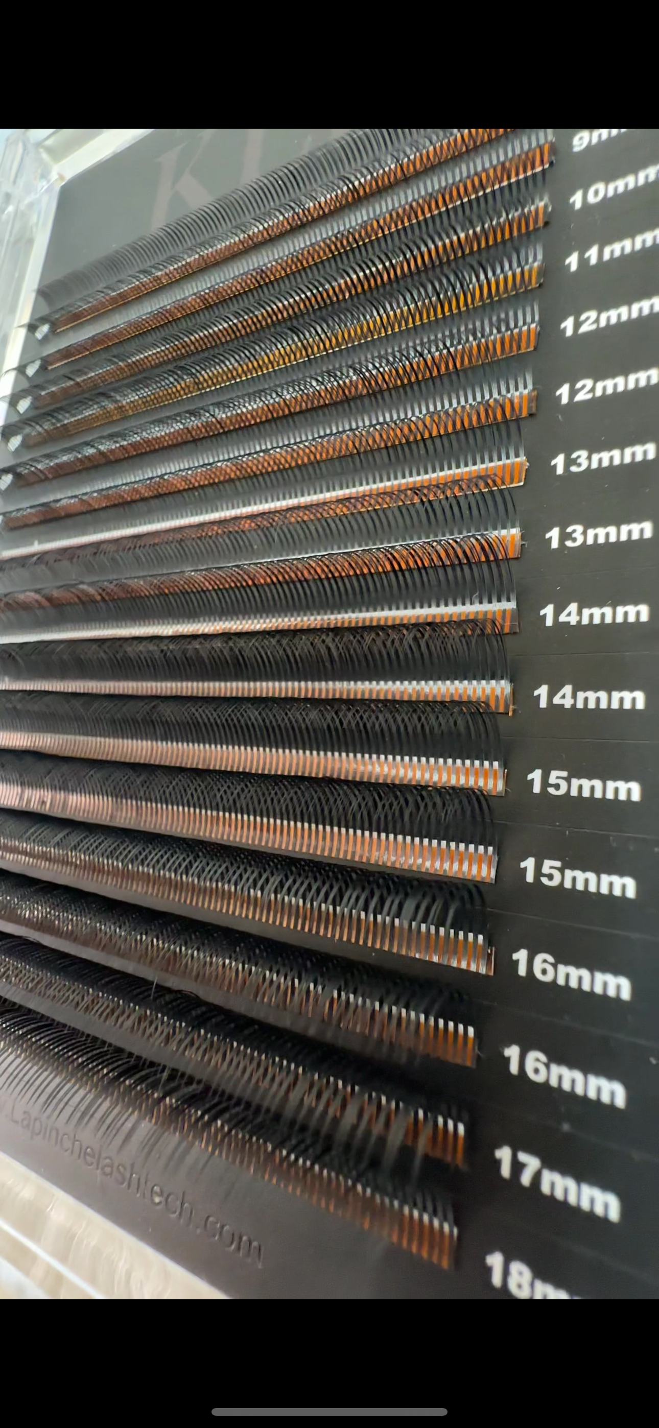 Wet Set Vault